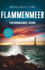 Benjamin Cors: Flammenmeer, Buch