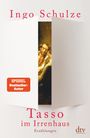 Ingo Schulze: Tasso im Irrenhaus, Buch