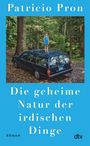 Patricio Pron: Die geheime Natur der irdischen Dinge, Buch