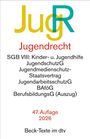 "Jugendrecht, SGB VIII: Kinder- u. Jugendhilfe, Jugendmedienschutz-Staatsvertrag, 47. Auflage 2026, Beck-Texte im dtv."
