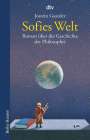 : Sofies Welt, Buch