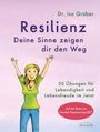 Isa Grüber: Resilienz - Deine Sinne zeigen dir den Weg, Buch
