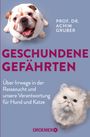 Titel: "Geschundene Gefährten". Oben Bulldogge, unten Katze; füllige Tiere, fröhliche Ausstrahlung; lila Hintergrund.