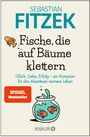 Sebastian Fitzek: Fische, die auf Bäume klettern, Buch