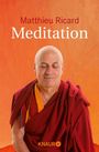 Matthieu Ricard: Meditation, Buch