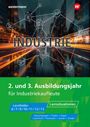 Björn Flader: Industrie. 2. und 3. Ausbildungsjahr Lernsituationen, Buch