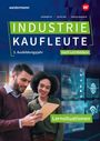 Frank Ludden: Industriekaufleute. 3. Ausbildungsjahr Lernsituationen, Buch