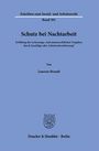 Laurens Brandt: Schutz bei Nachtarbeit, Buch