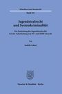 Isabelle Schaal: Jugendstrafrecht und Systemkriminalität, Buch
