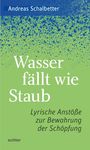 Andreas Schalbetter: Wasser fällt wie Staub, Buch