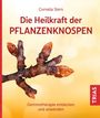 Cornelia Stern: Die Heilkraft der Pflanzenknospen, Buch