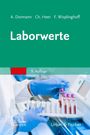 Arno J. Dormann: Laborwerte, Buch