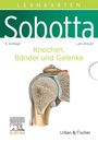 Lars Bräuer: Sobotta Lernkarten Knochen, Bänder und Gelenke, Div.