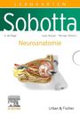 Lars Bräuer: Sobotta Lernkarten Neuroanatomie, Div.