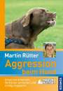 Martin Rütter: Aggression beim Hund, Buch