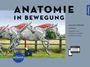 Gillian Higgins: Anatomie in Bewegung, Buch