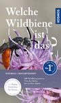 Hannes Petrischak: Welche Wildbiene ist das?, Buch