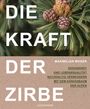 Maximilian Moser: Die Kraft der Zirbe, Buch