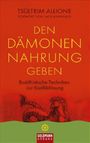 Tsültrim Allione: Den Dämonen Nahrung geben, Buch