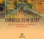 Text: "Eckhart Tolle - Torwege zum Jetzt. Die drei Techniken zu höherem Bewusstsein." Logo: arkana. Herbstliche Brücke im Wald.