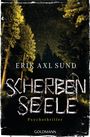 Erik Axl Sund: Scherbenseele, Buch