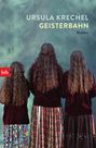 Ursula Krechel: Geisterbahn, Buch