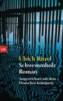 Ulrich Ritzel: Schwemmholz, Buch