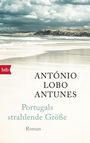 António Lobo Antunes: Portugals strahlende Größe, Buch