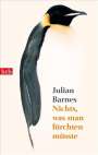 Julian Barnes: Nichts, was man fürchten müsste, Buch