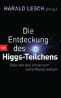 : Die Entdeckung des Higgs-Teilchens, Buch