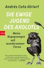 Andrés Cota Hiriart: Die ewige Jugend des Axolotls, Buch