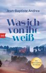 Jean-Baptiste Andrea: Was ich von ihr weiß, Buch