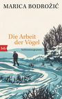 Marica Bodro¿i¿: Die Arbeit der Vögel, Buch