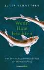 Julia Schnetzer: Wenn Haie leuchten, Buch