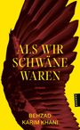 Behzad Karim Khani: Als wir Schwäne waren, Buch