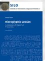 Annick Payne: Hieroglyphic Luwian, Buch