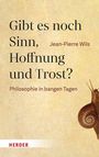 Jean-Pierre Wils: Gibt es noch Sinn, Hoffnung und Trost?, Buch