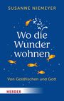 Susanne Niemeyer: Wo die Wunder wohnen, Buch