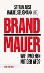 "STEFAN AUST RAFAEL SELIGMANN (HG.) BRANDMAUER WIE UMGEHEN MIT DER AFD?" In großen, kontrastreichen Buchstaben.