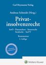 : Privatinsolvenzrecht, Buch