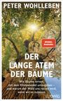 Peter Wohlleben: Der lange Atem der Bäume, Buch