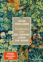 Peter Wohlleben: Weisheiten aus 'Das geheime Leben der Bäume', Buch