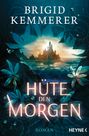 Brigid Kemmerer: Hüte den Morgen, Buch