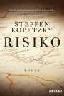 Steffen Kopetzky: Risiko, Buch