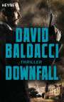 David Baldacci: Downfall, Buch