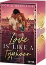 Ronja Madeleine: Love is like a Typhoon, Buch