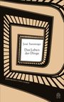 José Saramago: Das Leben der Dinge, Buch