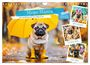 Anja Frost: Mops-Mania - Der Spaßkalender für Mops-Fans (Wandkalender 2025 DIN A4 quer), CALVENDO Monatskalender, KAL