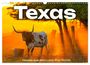 M. Scott: Texas - Howdy aus dem Lone Star State! (Wandkalender 2025 DIN A3 quer), CALVENDO Monatskalender, KAL