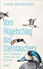 Unnur Jökulsdóttir: Vom Flügelschlag des Sterntauchers, Buch